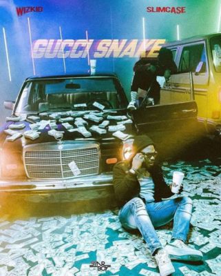wizkid-gucci-snake-ft-slimcase-768x957