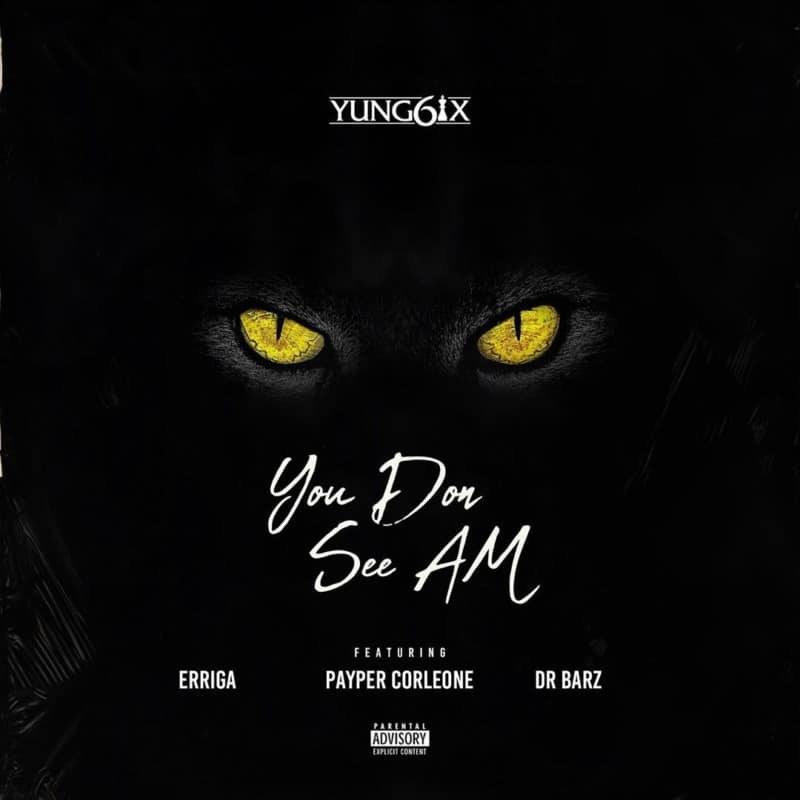 Yung6ix-You-Don-See-Am