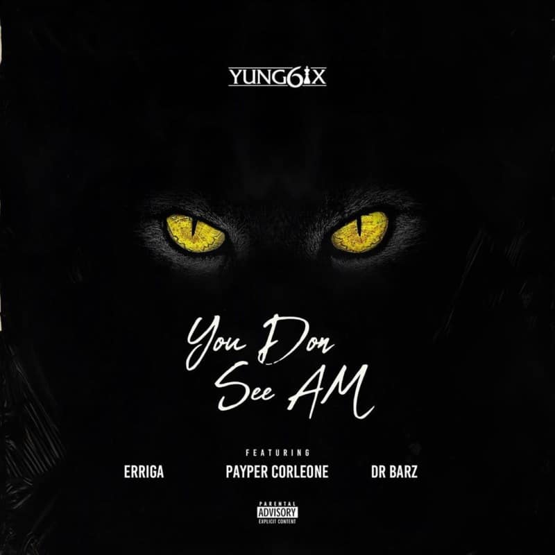 Yung6ix-You-Don-See-Am