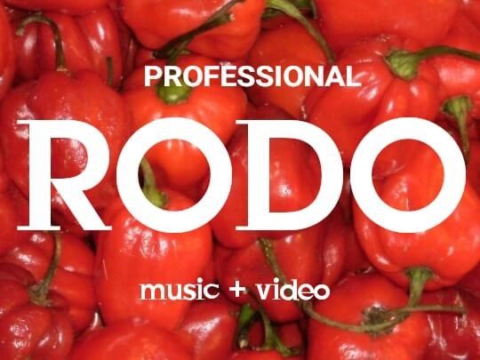 HOT MUSIC : Professional - Rodo