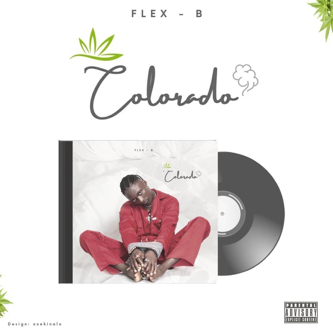 DOWNLOAD MP3: Flex B – Colorado