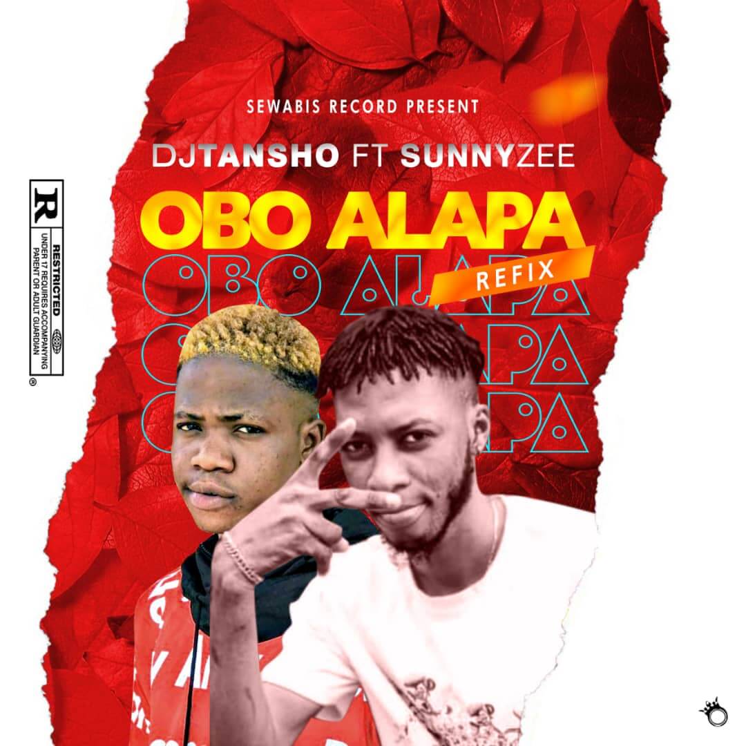 DJ Tansho Ft Sunnyzee - Obo Alapa Refix