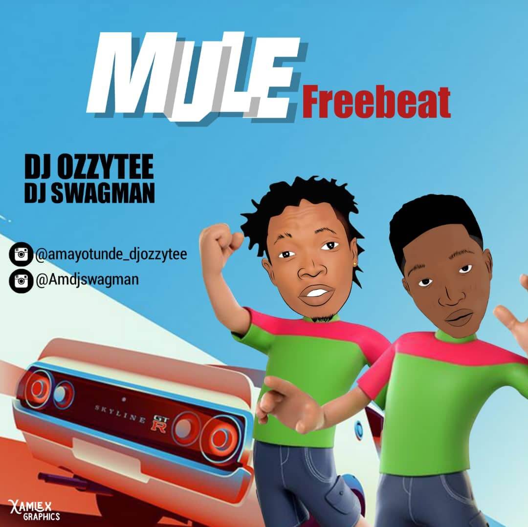 Dj Ozzytee Ft Dj Swagman Mule Free Beat