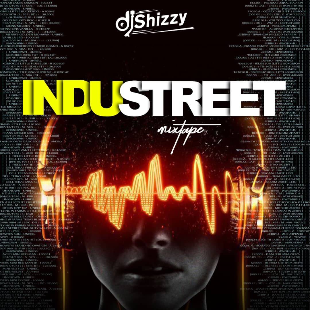 [Mixtape] DJ Shizzy - Industreet Mix