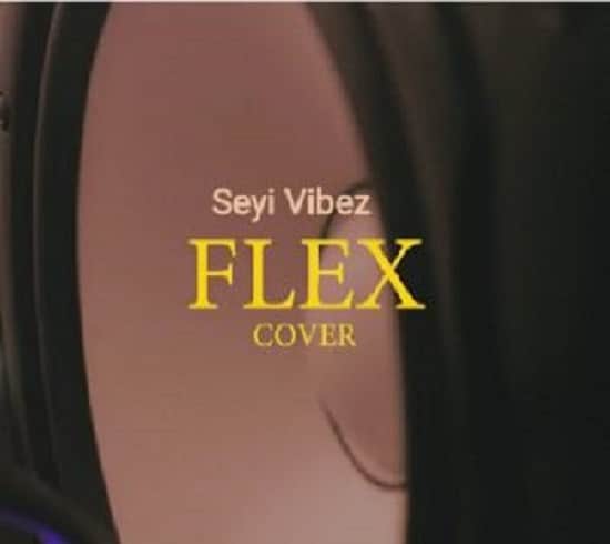 Seyi Vibez – Flex (Cover)