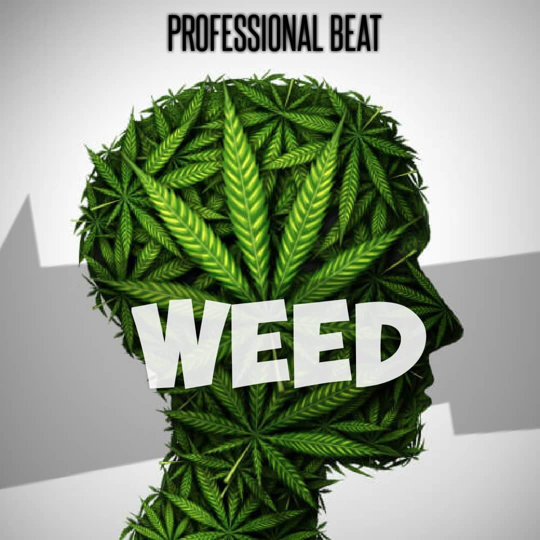 Free Beat : Professional Beat - Weed Beat