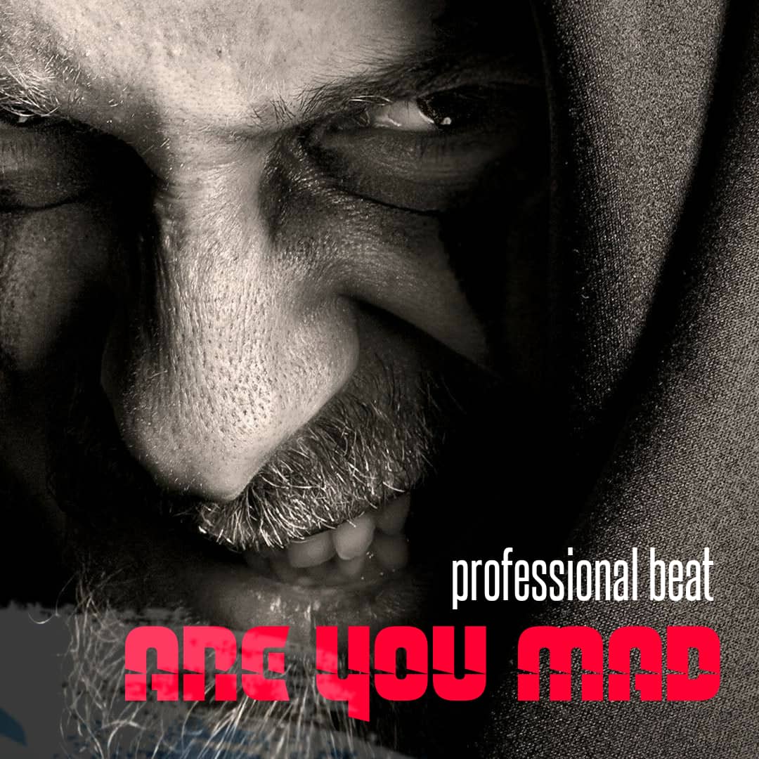 [Free Beat] Professional Beat - Are You Mad