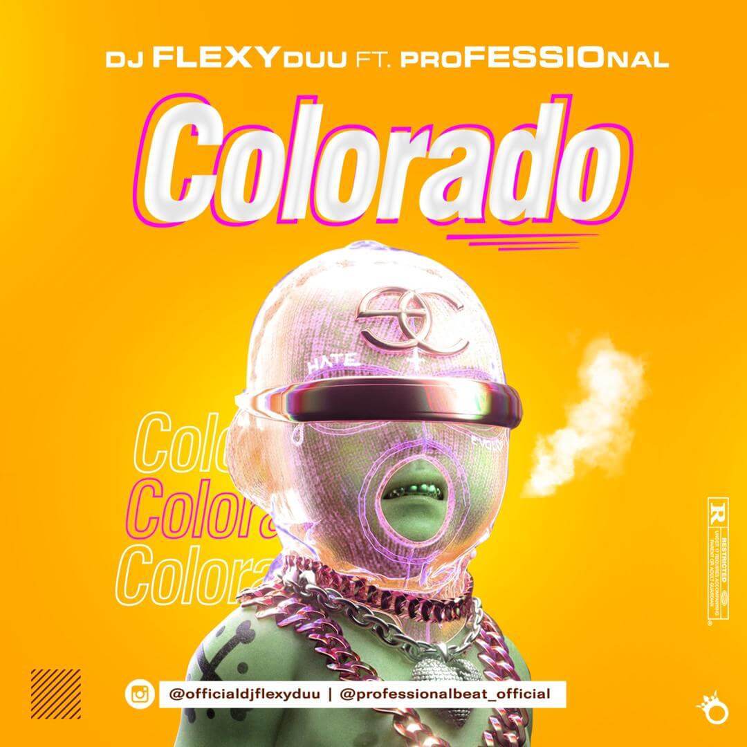 Dj Flexy Duu Ft Professional Beat - Colorado Free Beat