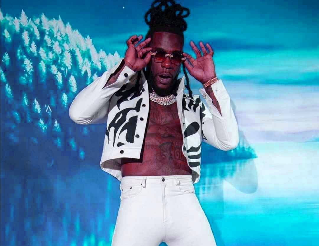 Burna Boy Net Worth