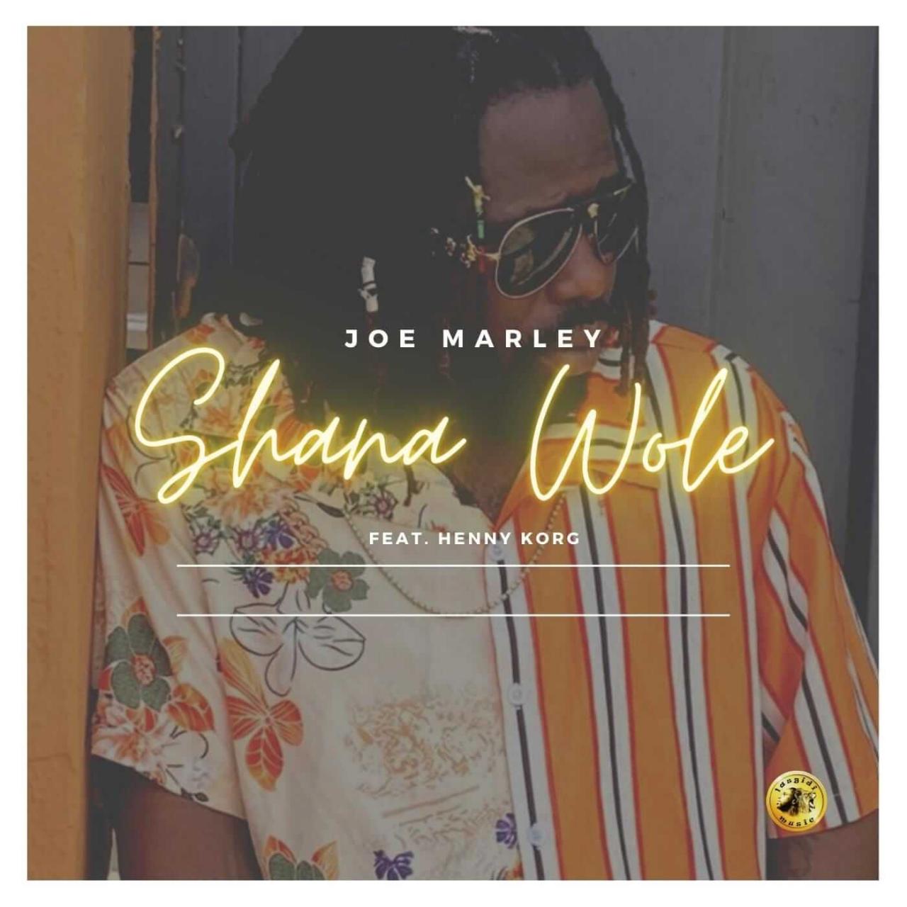 Dj Mayor Kay ft Joe Marley - Shana Wole  Dance Beat